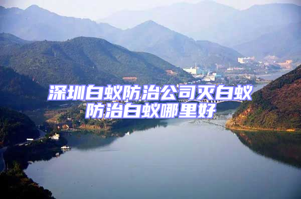 深圳白蟻防治公司滅白蟻防治白蟻哪里好