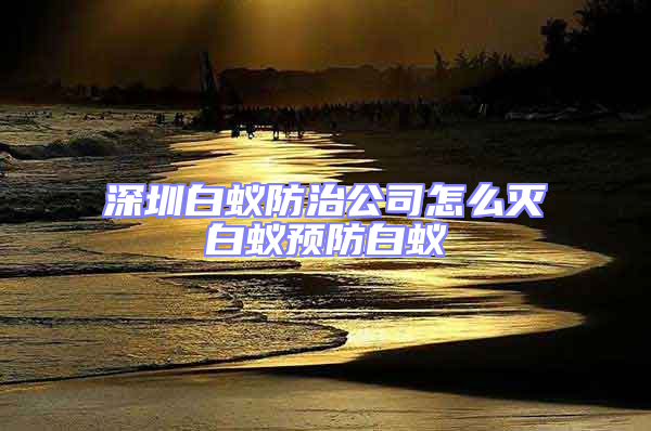 深圳白蟻防治公司怎么滅白蟻預(yù)防白蟻