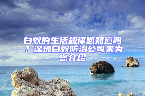 白蟻的生活規(guī)律您知道嗎？深圳白蟻防治公司來(lái)為您介紹