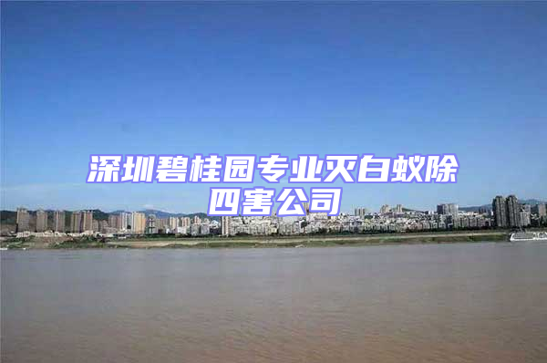 深圳碧桂園專業(yè)滅白蟻除四害公司