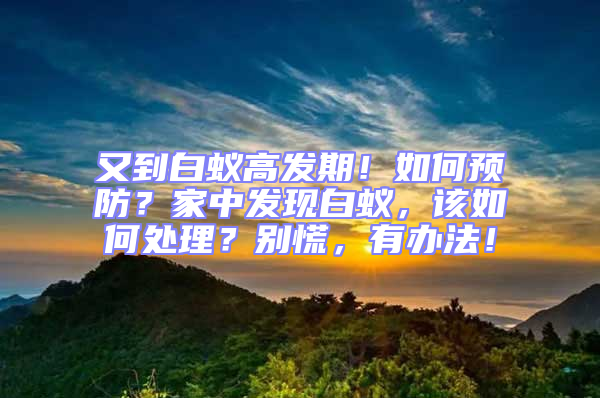 又到白蟻高發(fā)期！如何預(yù)防？家中發(fā)現(xiàn)白蟻，該如何處理？別慌，有辦法！